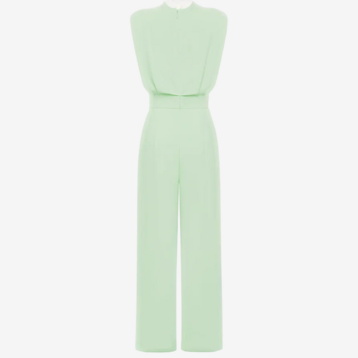 Ariia Jumpsuit with Defined Waist